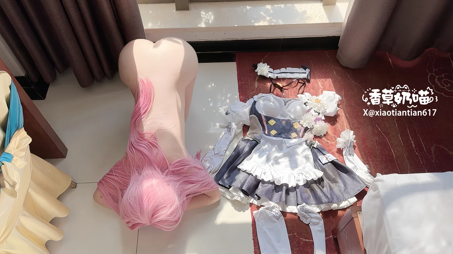 香草奶喵 - No.006 爱莉希雅女仆 [93P,29V-605MB] tg@simisebaisi 【丝足阁】001.webp